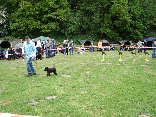 DSC00615